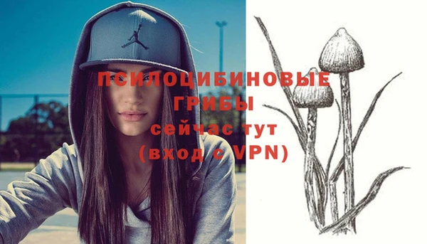 гидропоника Армянск