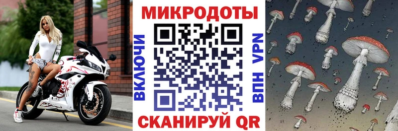 Галлюциногенные грибы Magic Shrooms  Ивангород 